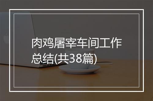 肉鸡屠宰车间工作总结(共38篇)