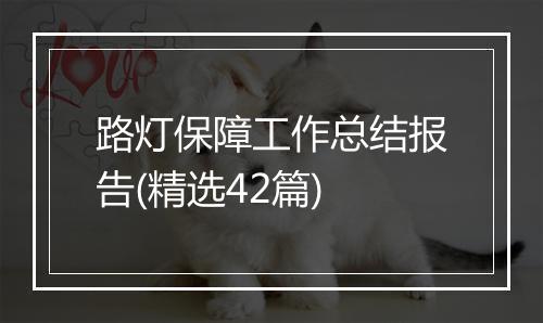 路灯保障工作总结报告(精选42篇)