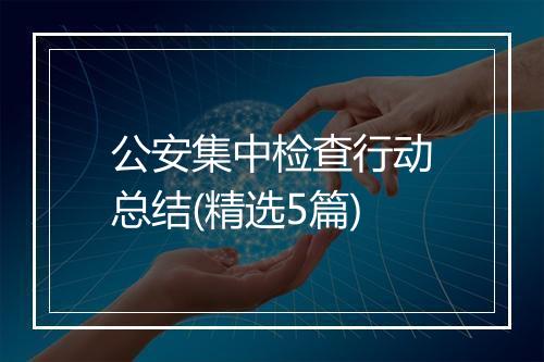 公安集中检查行动总结(精选5篇)