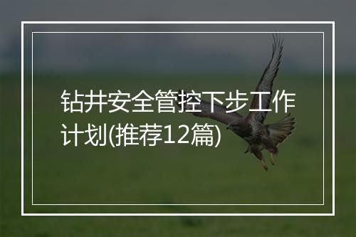 钻井安全管控下步工作计划(推荐12篇)