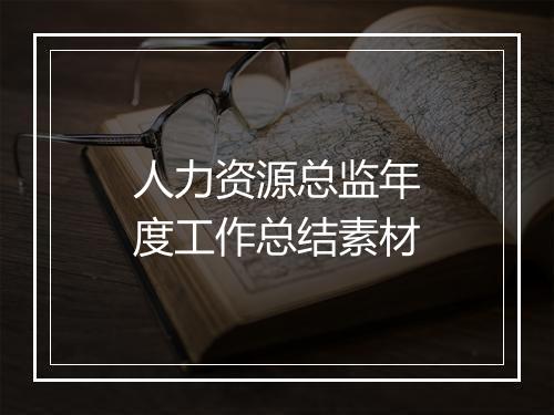 人力资源总监年度工作总结素材