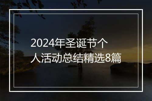 2024年圣诞节个人活动总结精选8篇