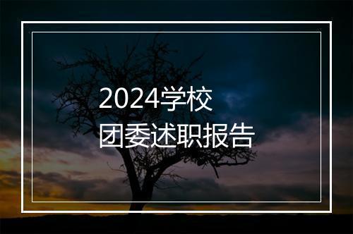 2024学校团委述职报告