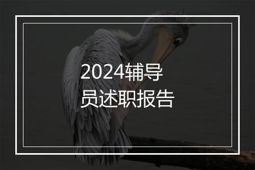 2024辅导员述职报告