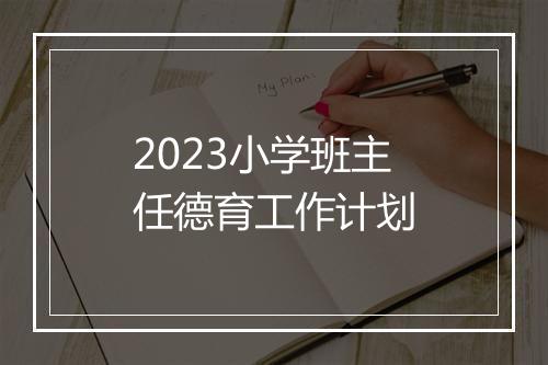 2023小学班主任德育工作计划