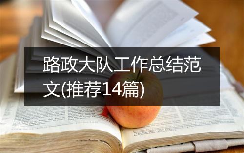 路政大队工作总结范文(推荐14篇)