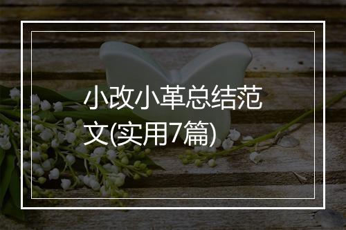 小改小革总结范文(实用7篇)