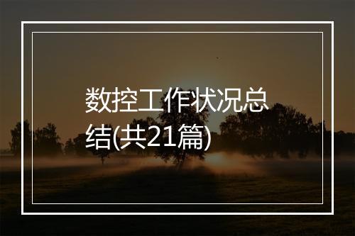 数控工作状况总结(共21篇)