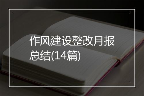 作风建设整改月报总结(14篇)