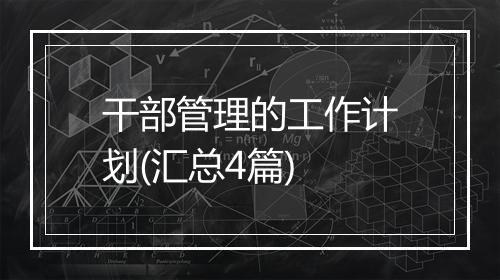 干部管理的工作计划(汇总4篇)