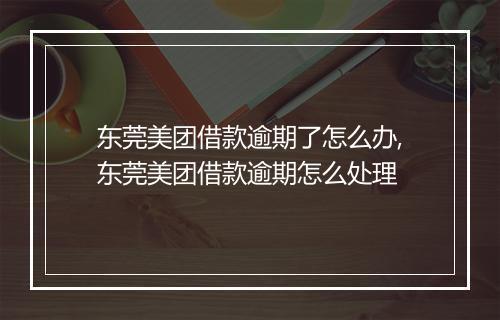东莞美团借款逾期了怎么办,东莞美团借款逾期怎么处理