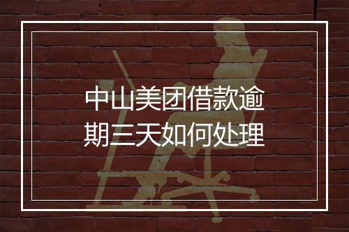 中山美团借款逾期三天如何处理