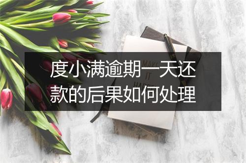 度小满逾期一天还款的后果如何处理