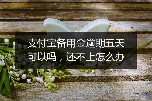 支付宝备用金逾期五天可以吗，还不上怎么办