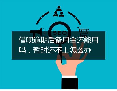 借呗逾期后备用金还能用吗，暂时还不上怎么办