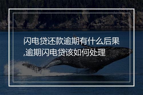 闪电贷还款逾期有什么后果,逾期闪电贷该如何处理