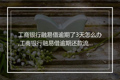 工商银行融易借逾期了3天怎么办,工商银行融易借逾期还款流程