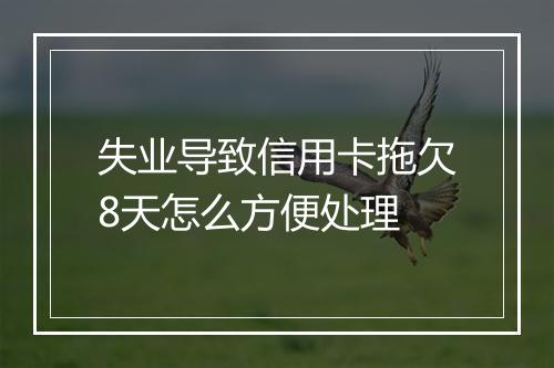 失业导致信用卡拖欠8天怎么方便处理