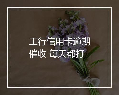 工行信用卡逾期催收 每天都打