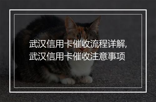 武汉信用卡催收流程详解,武汉信用卡催收注意事项