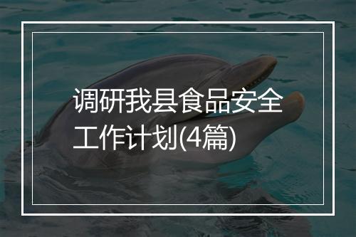 调研我县食品安全工作计划(4篇)