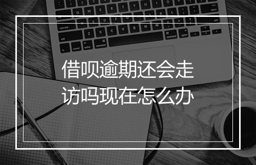 借呗逾期还会走访吗现在怎么办