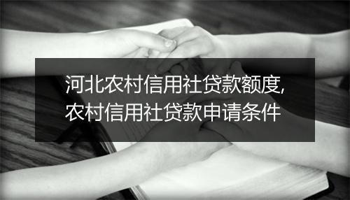河北农村信用社贷款额度,农村信用社贷款申请条件