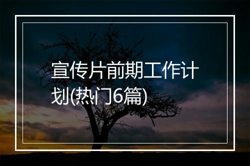 宣传片前期工作计划(热门6篇)