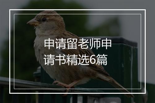 申请留老师申请书精选6篇