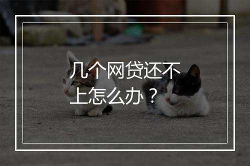 几个网贷还不上怎么办？