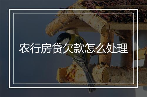 农行房贷欠款怎么处理