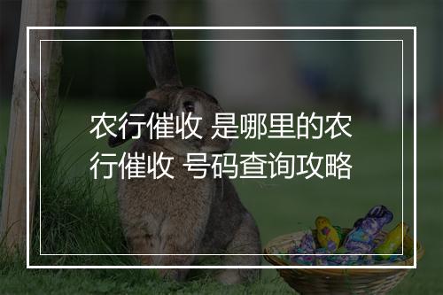 农行催收 是哪里的农行催收 号码查询攻略