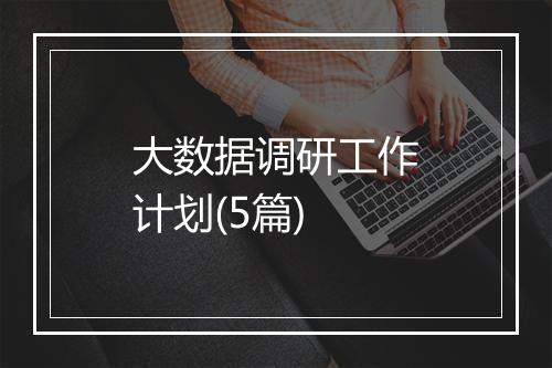 大数据调研工作计划(5篇)