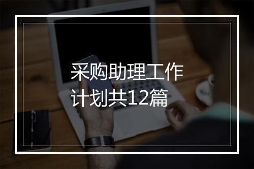 采购助理工作计划共12篇