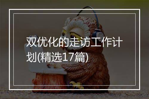 双优化的走访工作计划(精选17篇)
