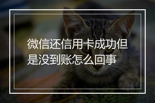 微信还信用卡成功但是没到账怎么回事