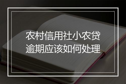 农村信用社小农贷逾期应该如何处理
