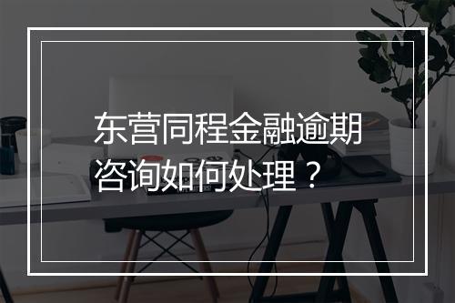 东营同程金融逾期咨询如何处理？