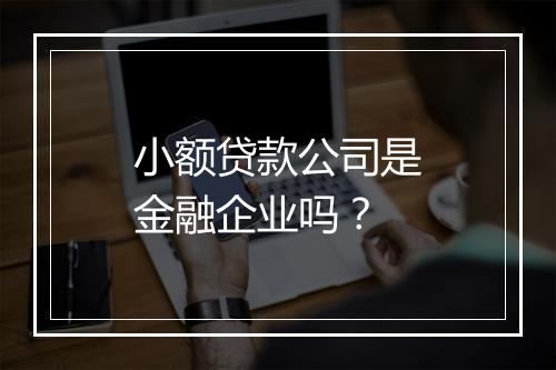 小额贷款公司是金融企业吗？