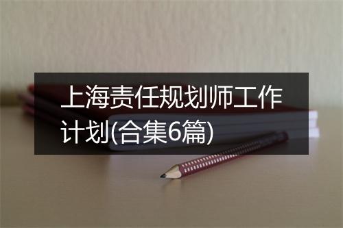 上海责任规划师工作计划(合集6篇)