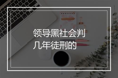 领导黑社会判几年徒刑的