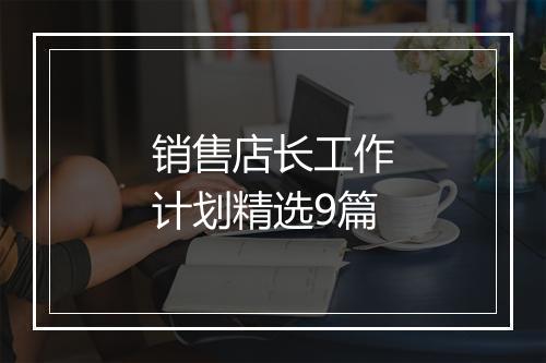 销售店长工作计划精选9篇