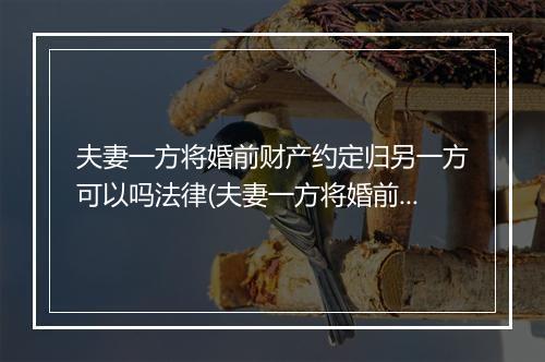 夫妻一方将婚前财产约定归另一方可以吗法律(夫妻一方将婚前财产约定归另一方可以吗)