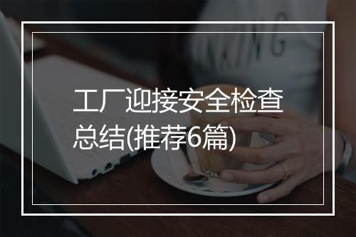 工厂迎接安全检查总结(推荐6篇)