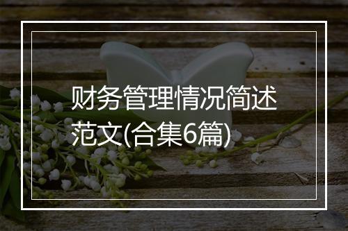 财务管理情况简述范文(合集6篇)