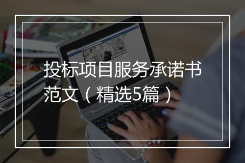 投标项目服务承诺书范文（精选5篇）