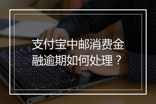 支付宝中邮消费金融逾期如何处理？