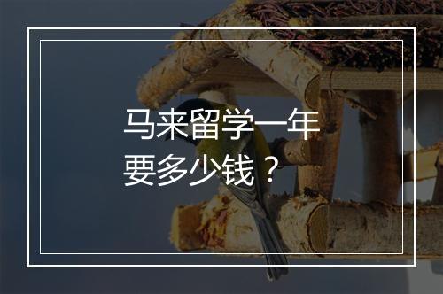 马来留学一年要多少钱？