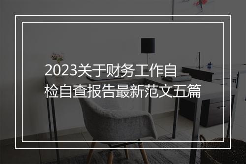 2023关于财务工作自检自查报告最新范文五篇