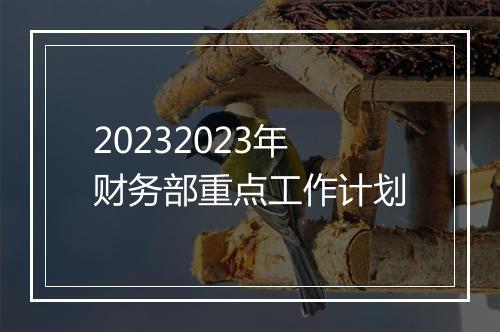 20232023年财务部重点工作计划